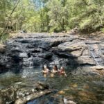 Byron Bay: Rainforest Waterfalls Guided Eco Tour - Detailed Breakdown of the Itinerary