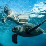 Byron Bay: Snorkeling Tour at Julian Rocks, Nguthungulli - Who Will Love This Tour?