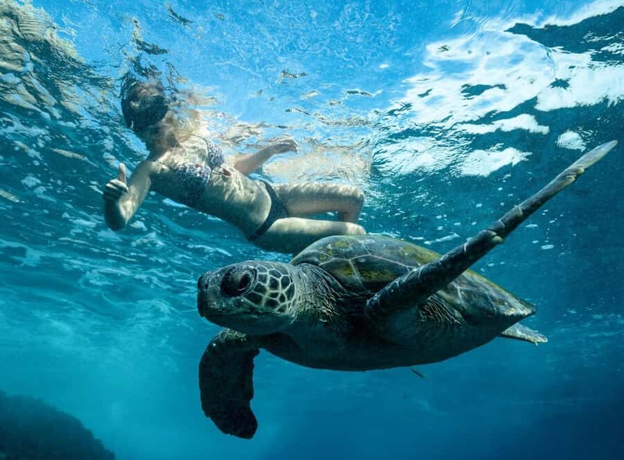 Byron Bay: Snorkeling Tour at Julian Rocks, Nguthungulli - Who Will Love This Tour?