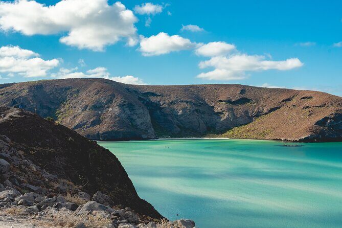 Cabo Arch Glass Bottom Boat: Hotel PICKUP, Arch & Lovers Beach - What’s Included and What’s Not