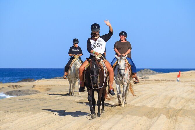 Cabo ATV and Horseback Riding Combo Experience in Migriño - Who Will Love This Tour?
