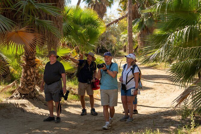 Cabo birding | Bird watching at bird sanctuary - FAQ