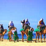 Cabo Camel and Safari Ride - The Experience’s Strengths & Limitations