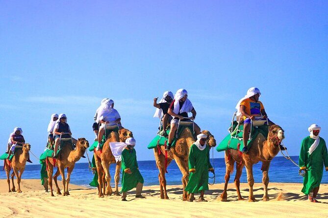 Cabo Camel and Safari Ride - The Experience’s Strengths & Limitations