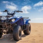 Cabo Camel Ride: Beach Safari, Tequila Tasting & Buffet - The Experience: Pros and Cons
