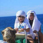 Cabo: Camel Ride On The Beach - Who Should Consider This Tour?