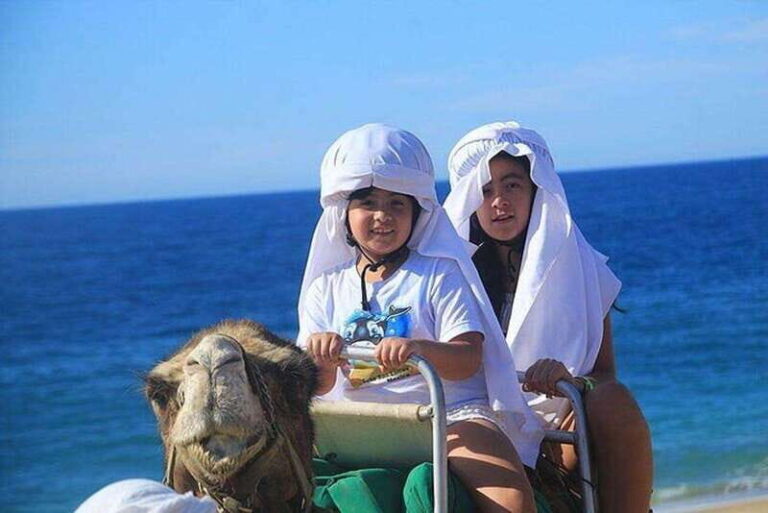 Cabo: Camel Ride On The Beach - Who Should Consider This Tour?