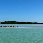 Cabo Catoche Snorkel And Fishing - The Itinerary and What to Expect