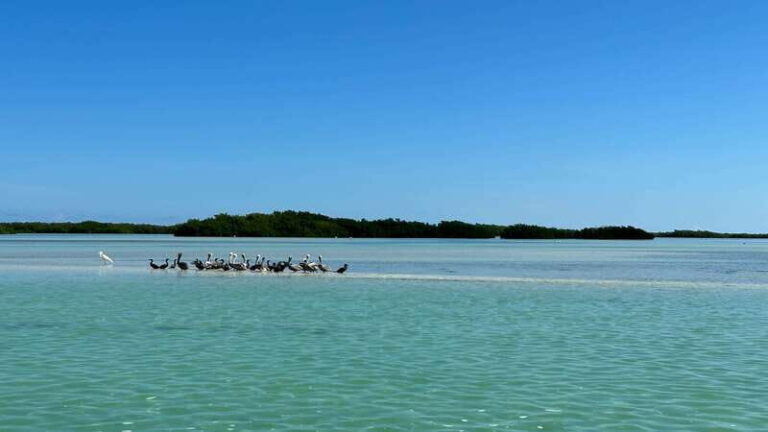 Cabo Catoche Snorkel And Fishing - The Itinerary and What to Expect