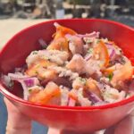 Cabo Catoche Tour with Fishing, Snorkeling and Ceviche - Who Should Consider This Tour?