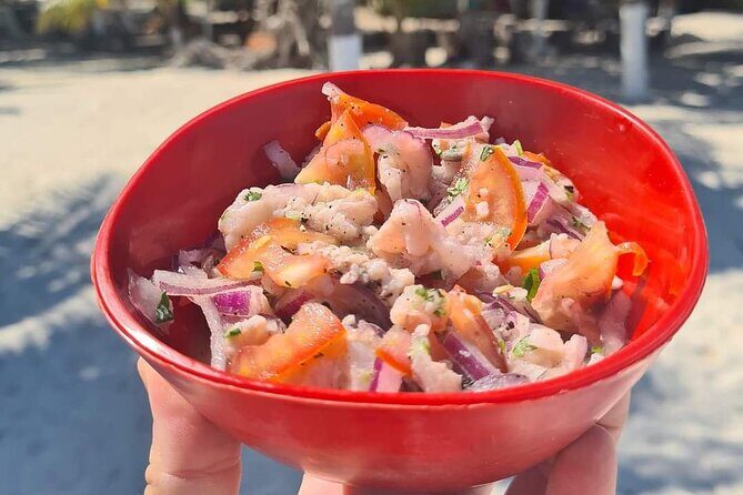 Cabo Catoche Tour with Fishing, Snorkeling and Ceviche - Who Should Consider This Tour?