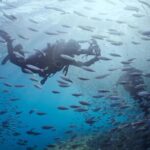 Cabo Pulmo Diving Adventure - The Depth of the Experience: Why It Matters