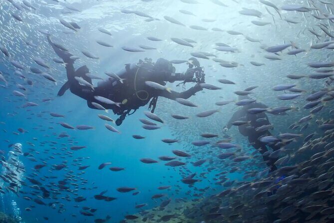 Cabo Pulmo Diving Adventure - The Depth of the Experience: Why It Matters