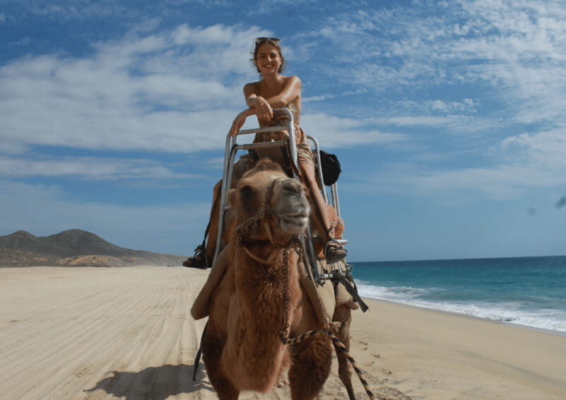 Cabo San Lucas: Amazing Camel Adventure on the Beach - How the Tour Fits Into Your Cabo Trip