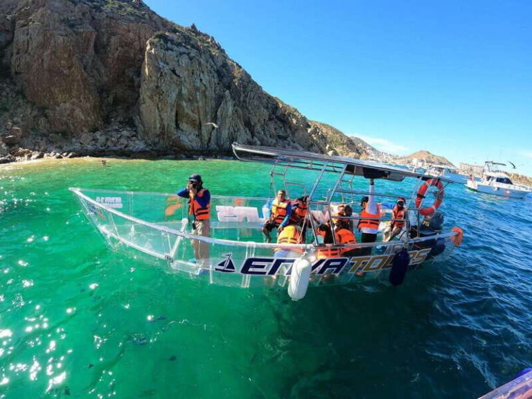 Cabo San Lucas: Arch Tour Clear Boat - The Marine Life and Other Highlights