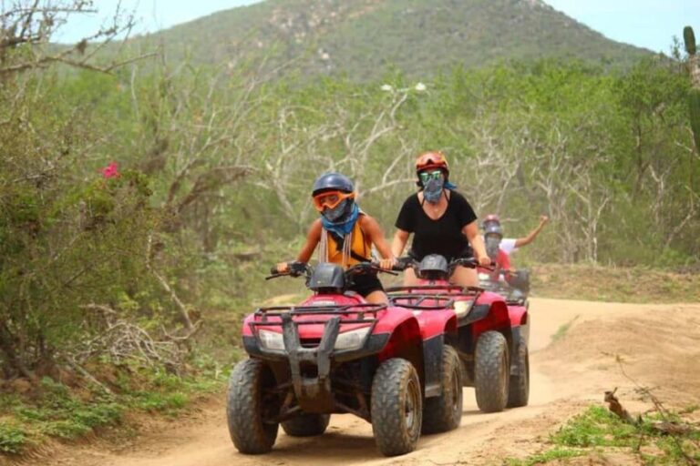 Cabo San Lucas: ATV Beach & Desert Tour with Tequila Tasting - What You Can Expect from the Tour
