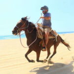 Cabo San Lucas: ATV/Camel/Horse Combo Tour - The Experience on the Ground