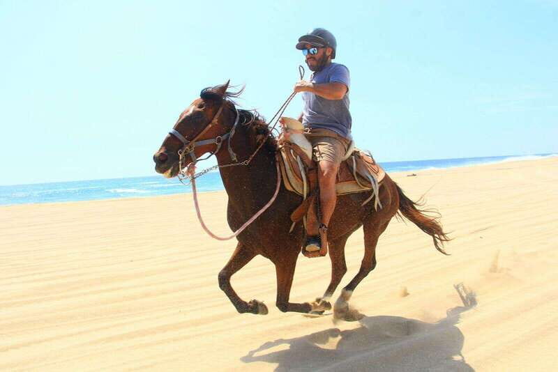 Cabo San Lucas: ATV/Camel/Horse Combo Tour - The Experience on the Ground