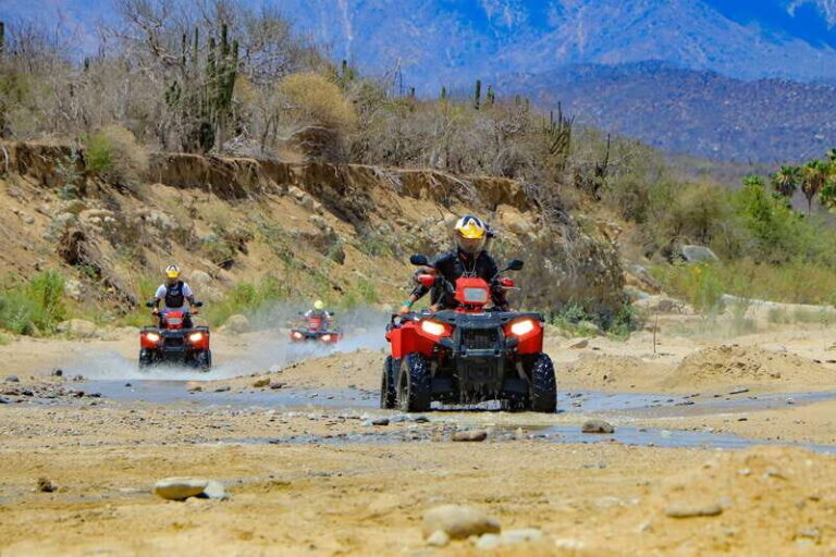 Cabo San Lucas: ATV Desert Tour with Mexican lunch - Considerations and Practical Tips