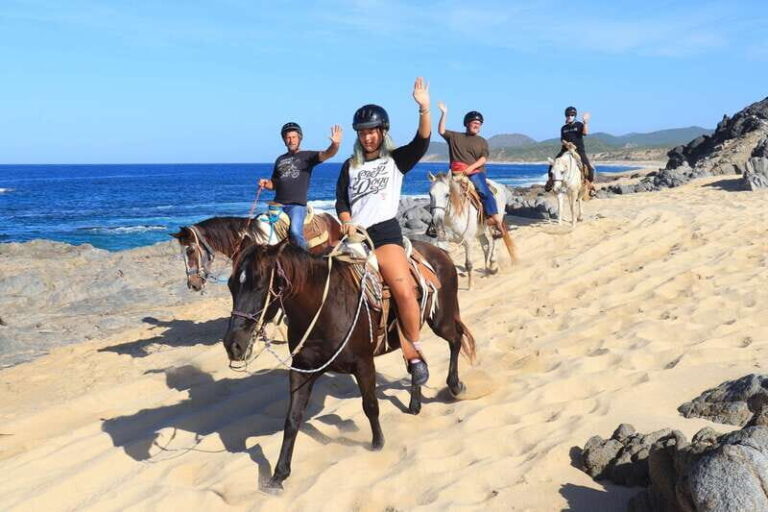 Cabo San Lucas: Beach & Desert Horseback Riding Tour - The Ride Experience: What’s the Vibe?