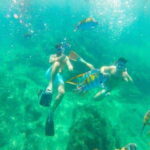 Cabo San Lucas: Beach Hopper Small-Group Snorkeling Tour - What Sets This Tour Apart?