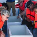 Cabo San Lucas Boat Tour - Who Is This Tour Best For?