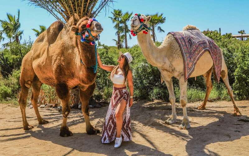 Cabo San Lucas: Camel Ride & Off-Road UTV Combo Adventure - The Itinerary in Detail