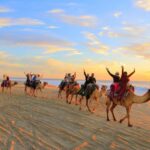 Cabo San Lucas: Camel Ride on the Beach - Camel Ride: The Main Event