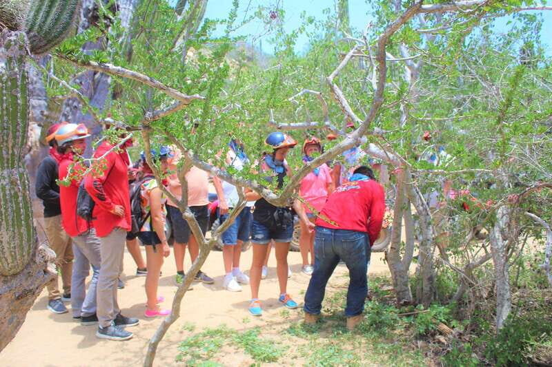 Cabo San Lucas: Candelaria Village ATV Tour - Detailed Breakdown of the Itinerary