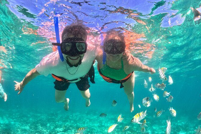 Cabo San Lucas Catamaran: Snorkel, Open Bar & Scenic Cruise - Secluded Lovers Beach and Land’s End