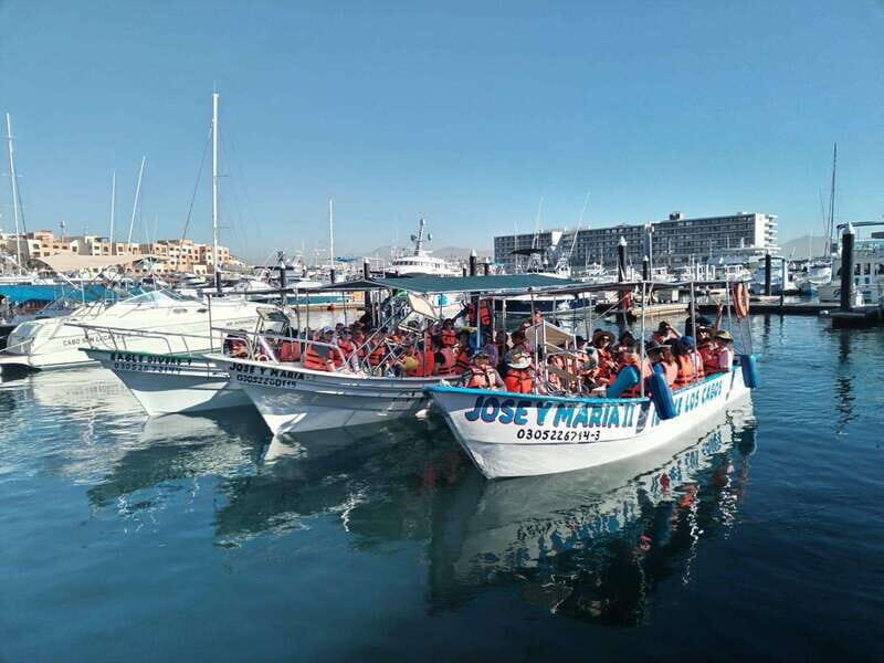 Cabo San Lucas: Classic Tour to the Arch in Glass Bottom - An Honest Look at the Experience