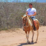 Cabo San Lucas :Combo ATV&Horseback riding with transfer - Who Should Consider This Tour?