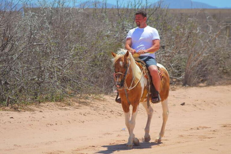 Cabo San Lucas :Combo ATV&Horseback riding with transfer - Who Should Consider This Tour?