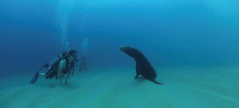 Cabo San Lucas: Discover Scuba Diving Experience - The Experience in Detail