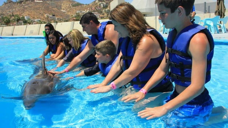 Cabo San Lucas: Dolphin Swim Class with Marine Specialist - What to Expect: The Breakdown