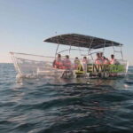 Cabo San Lucas: Glass-Bottom Boat Cruise and Tequila Tasting - The Experience in Detail