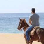 Cabo San Lucas: Horseback Riding Adventure - Final Thoughts