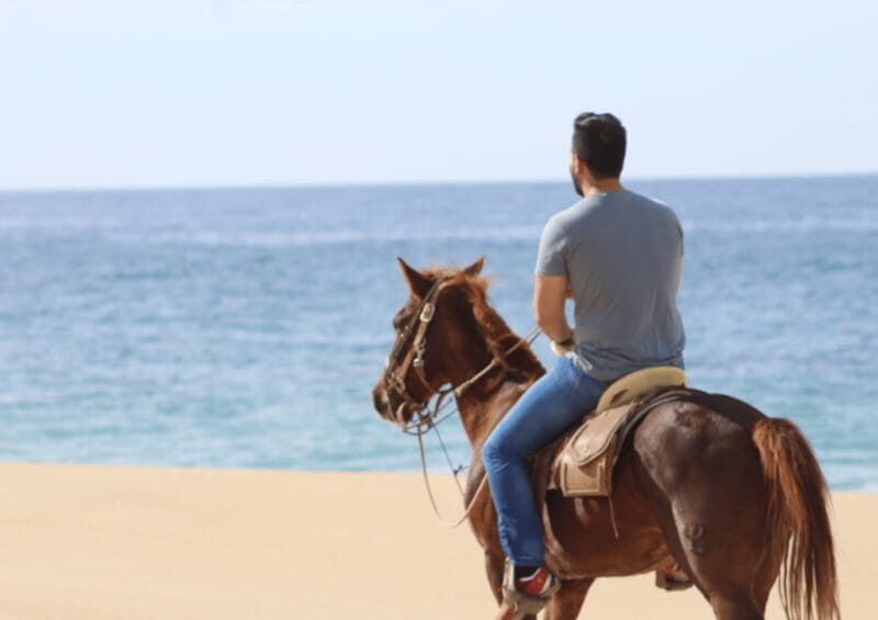 Cabo San Lucas: Horseback Riding Adventure - Final Thoughts