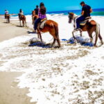 Cabo San Lucas: Horseback Riding in Migriño with Transfers - The Practicalities: Price, Duration, and Inclusives