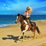 Cabo San Lucas: Horseback Riding On The Beach - Who Will Love This Tour?