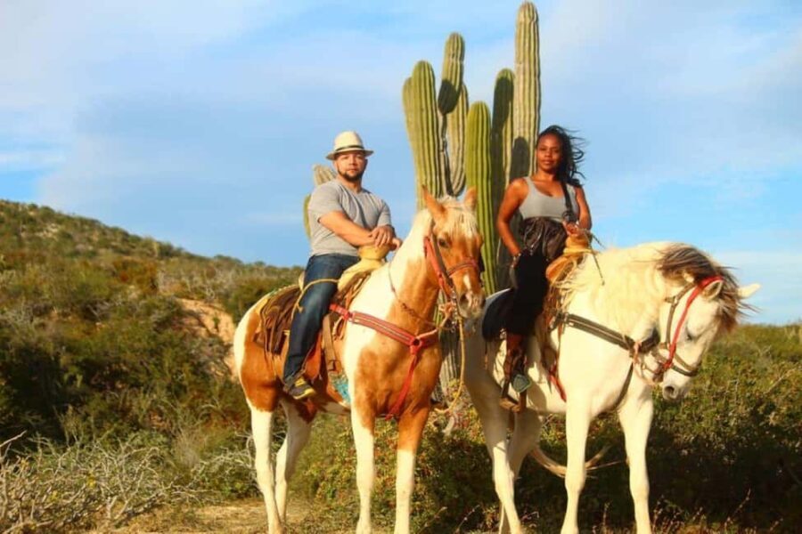Cabo San Lucas: Horseback Riding on the Beach Experience - The Practical Details