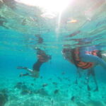 Cabo San Lucas: Kayaking Adventure Tour - The Practical Side: Pricing, Duration, and Group Size