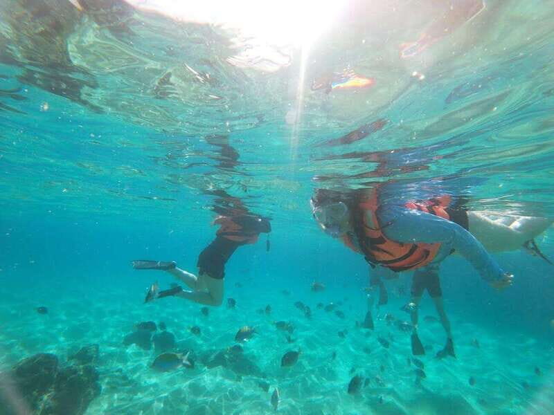 Cabo San Lucas: Kayaking Adventure Tour - The Practical Side: Pricing, Duration, and Group Size