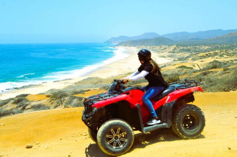 Cabo San Lucas: Migriño Beach & Desert ATV Tour - The Value of the Tour