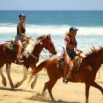 Cabo San Lucas: Migriño Horseback Riding Adventure - The Details: Transportation, Duration, and Group Size