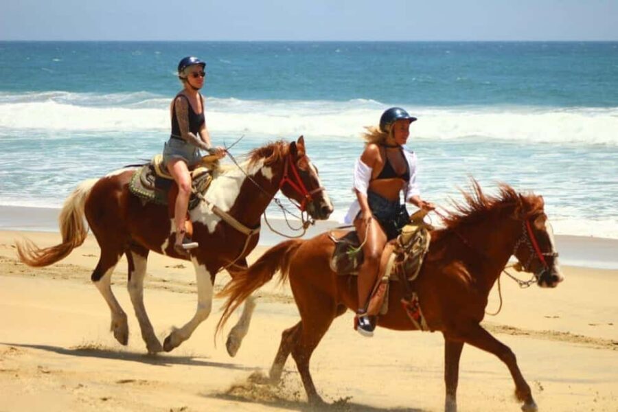 Cabo San Lucas: Migriño Horseback Riding Adventure - The Details: Transportation, Duration, and Group Size