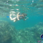 Cabo San Lucas Private and Shared Snorkeling Tour - Detailed Breakdown of the Experience