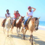 Cabo San Lucas: Scenic Horseback Ride Along the Corridor - What You Can Expect at Each Step