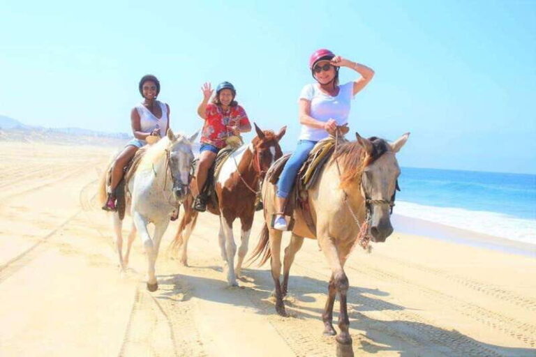 Cabo San Lucas: Scenic Horseback Ride Along the Corridor - What You Can Expect at Each Step