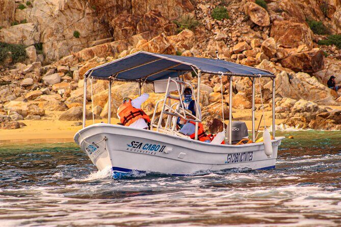 Cabo San Lucas Shared Glass Bottom Boat Experience - The Value of the Tour